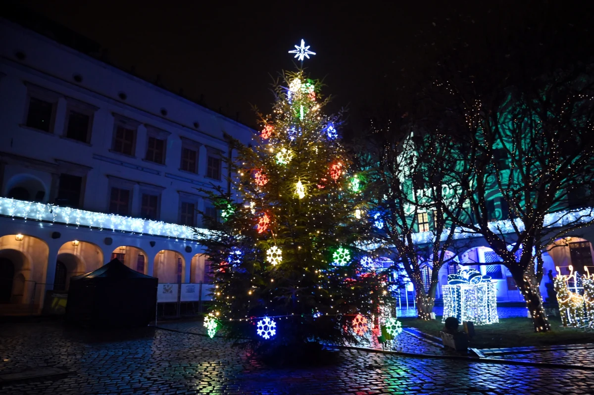 Zaledwie dobę po tym, jak przed Urzędem Miasta w Szczecinie rozbłysła bożonarodzeniowa choinka doszło do próby kradzieży. W nocy z niedzieli na poniedziałek z jednego z najważniejszych symboli świąt zniknęły charakterystyczne ozdoby. Prezydent stolicy województwa zachodniopomorskiego opublikował nagranie z całego zajścia. O zuchwałej kradzieży powiadomiona została również policja. 