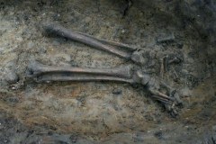 Anatomia ukrzyżowania