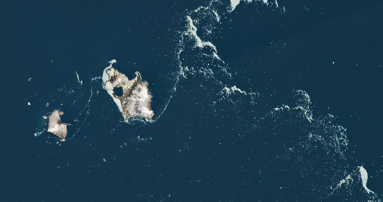 1600 km od najbliższego kontynentu. Pierwsze takie zdjęcie