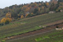 Wino dla nazistów. Cierpki smak kolaboracji