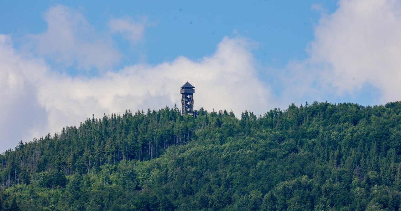 Jeden z piękniejszych szlaków w Beskidach. A na szczycie? Wieża widokowa