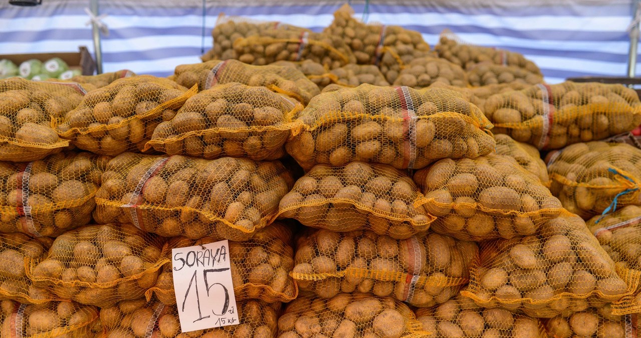 Polskie magazyny są ich pełne. A mimo to import z Niemiec kwitnie Polskie magazyny są ich pełne. A mimo to import z Niemiec kwitnie