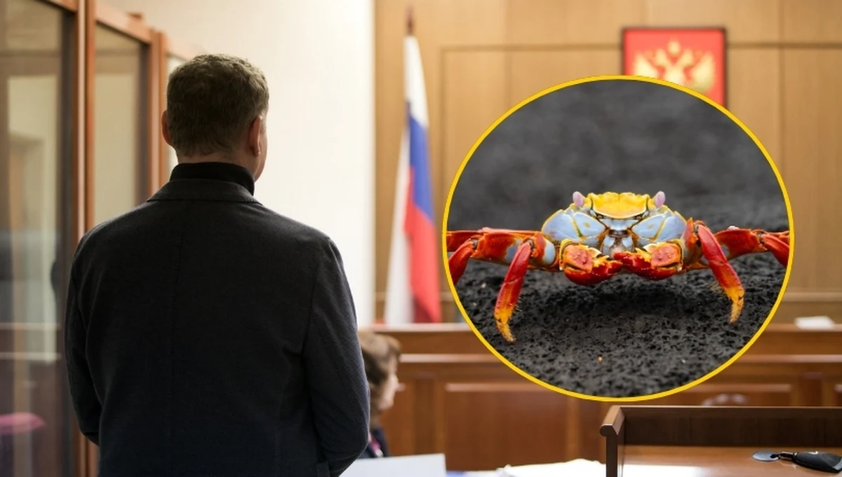 Absurdalna sprawa w Rosji - sąd we Władywostoku skazał zaocznie przedsiębiorcę Olega Kana na 24 lata kolonii karnej za przemyt krabów i unikanie płacenia podatków. Sęk w tym, że - jak przekonuje obrona - biznesmen zmarł w 2023 r. w Wielkiej Brytanii.