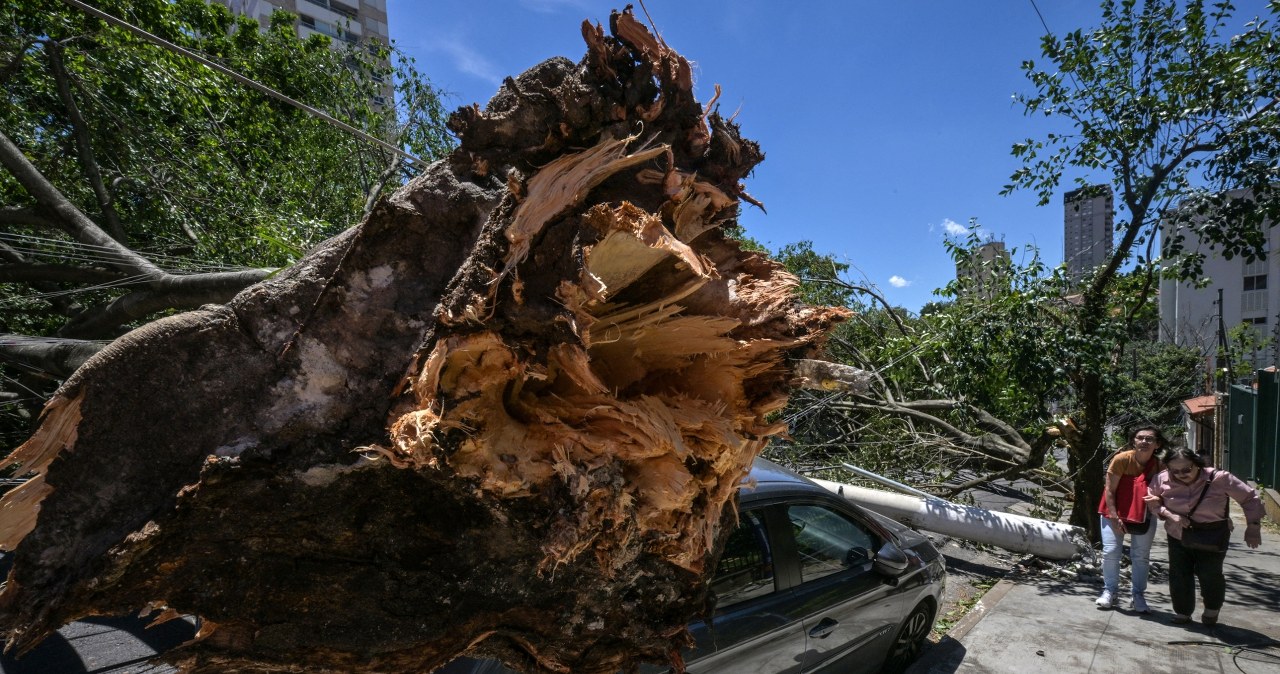 Milion domów bez prądu, odwołane setki lotów. Cyklon uderzył z pełną siłą