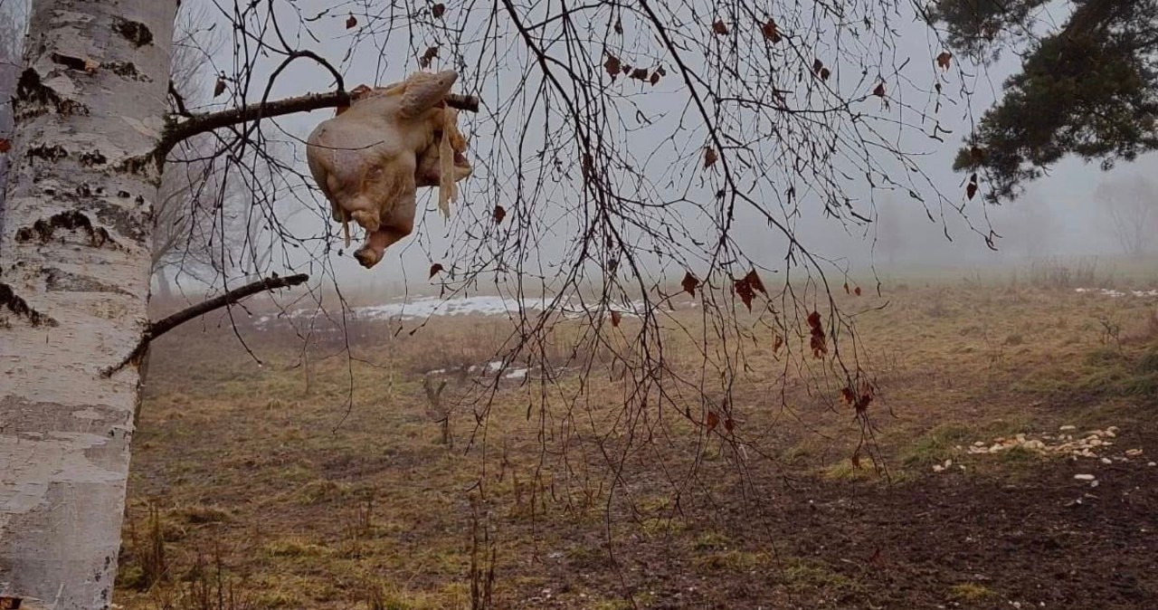„To, co odkryliśmy, było szokujące”. Pod Tatrami doszło do incydentu „To, co odkryliśmy, było szokujące”. Pod Tatrami doszło do incydentu