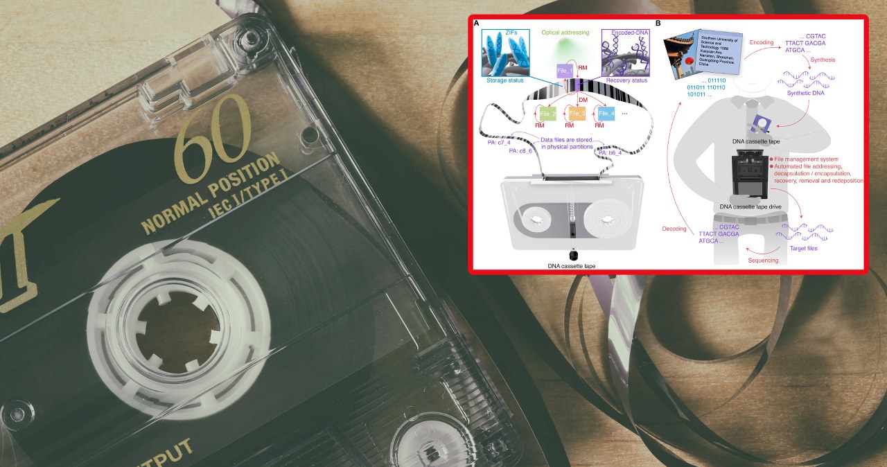 Kaseta DNA zamiast dysku USB. Wracają czasy Commodore 64?