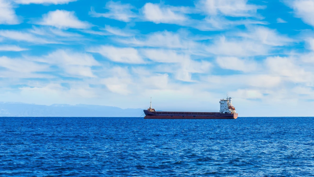 Od 500 do 1000 rosyjskich statków floty cieni, w tym setki tankowców pod fałszywymi banderami, pływa po światowych morzach, skutecznie omijając międzynarodowe sankcje - alarmuje szwedzka Straż Przybrzeżna w opublikowanym raporcie.