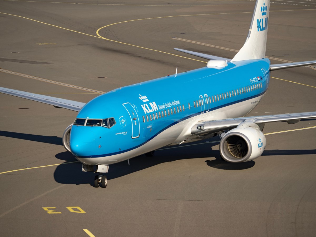 Ponad 250 pasażerów utknęło na Karaibach. Wszystko przez szczura