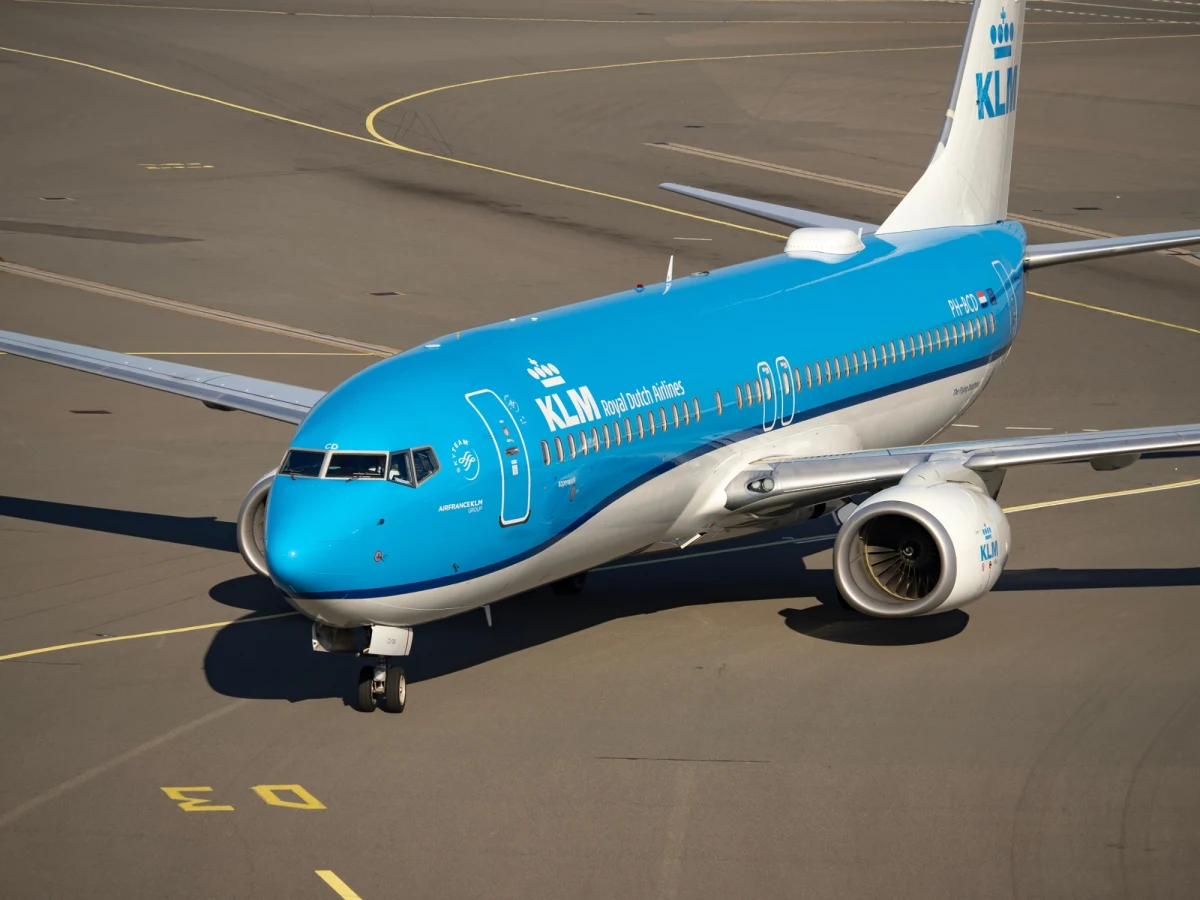 ​Podczas lotu z Amsterdamu do Aruby w samolocie KLM pasażerowie dostrzegli szczura. Incydent sprawił, że lot powrotny został odwołany, a pracownicy linii lotniczych rozpoczęli polowanie na gryzonia. Schwytanie szczura zajęło im aż 36 godzin. Podróżujący, którzy mieli wracać samolotem do swoich domów, musieli spędzić więcej czasu na Karaibach, niż zakładali, ale przewoźnik zapewnił pasażerom noclegi.