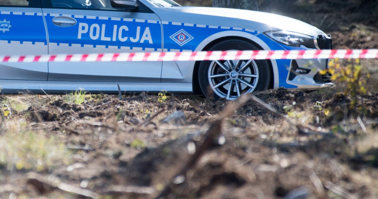 wiadomości,aktualności,Interia Szczątki 