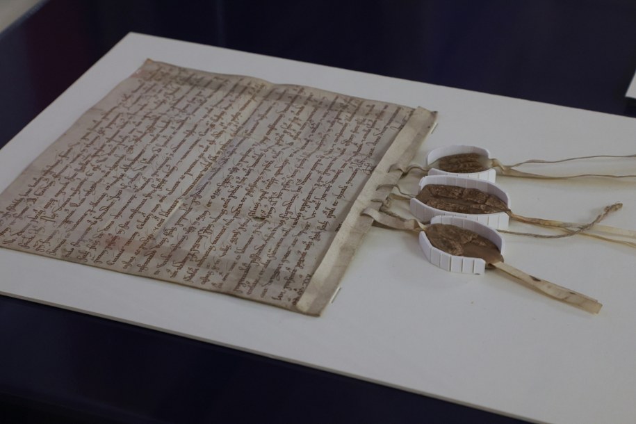 /Foto: Danuta Matloch/Mat. prasowy /