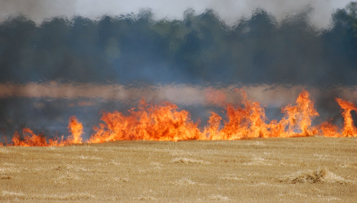 Wypalanie traw może słono kosztować. Jest decyzja prezydenta