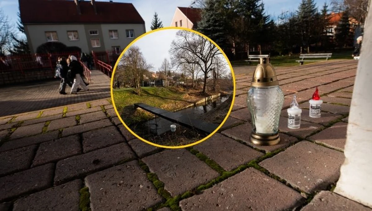 Prokuratura wszczęła śledztwo w sprawie śmierci 11-latki w Jeleniej Górze (woj. dolnośląskie). Ciało znajdowało się na skwerze 200 metrów od szkoły, w której uczyła się dziewczynka. Zabezpieczanie śladów trwało do późnych godzin wieczornych. Wstępne ustalenia wskazują na zabójstwo. Policja wytypowała już jedną osobę, która może mieć związek ze sprawą. To 12-latka - uczennica tej samej placówki. Wydział rodzinny sądu rejonowego w Jeleniej Górze zdecydował o jej zatrzymaniu.