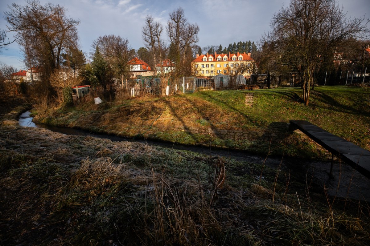 Zabójstwo 11-latki w Jeleniej Górze. Co dalej z zatrzymaną 12-latką?