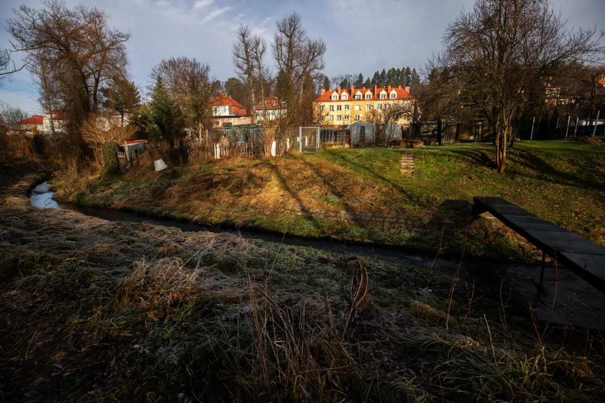 Sąd rodzinny w Jeleniej Górze zgodził się na przesłuchanie przez policję 12-latki zatrzymanej ws. zabójstwa 11-letniej dziewczynki. Do zbrodni doszło w poniedziałek w pobliżu szkoły podstawowej nr 10. Dziewczynki chodziły do tej placówki. Znały się z widzenia. Nie wiadomo, jaki był motyw zbrodni. 