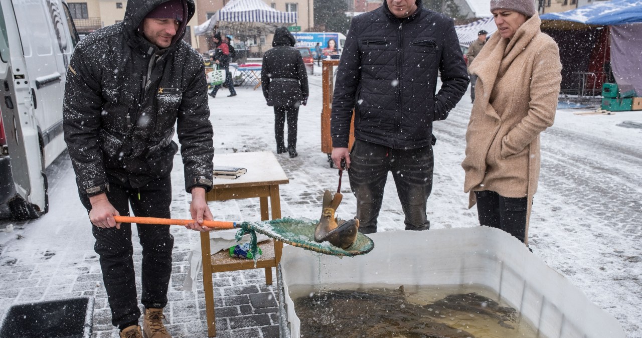 Karp na Wigilię śmierdzi mułem. Czy jest na to sposób?