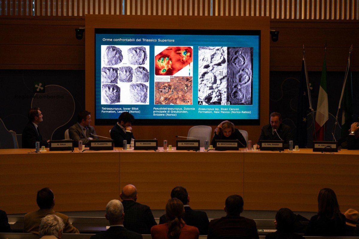 ​Spektakularne odkrycie w Alpach. Znaleziono tysiące śladów dinozaurów