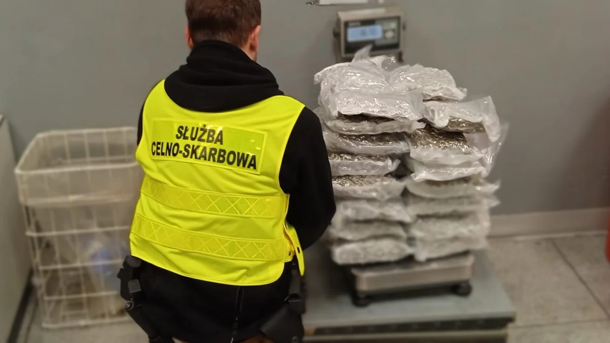 ​24 kg marihuany miał w swojej walizce Portugalczyk, zatrzymany na lotnisku Chopina w Warszawie. W bagażu 22-latka, który przyleciał z Bangkoku w Tajlandii, znaleziono 42 paczki suszu, których wartość na czarnym rynku oszacowano na niemal 1,2 mln zł. Mężczyźnie grozi grzywna i od 3 do 20 lat więzienia.