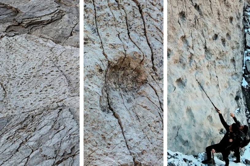 Spektakularne odkrycie we Włoszech. Pochodzą sprzed 210 milionów lat