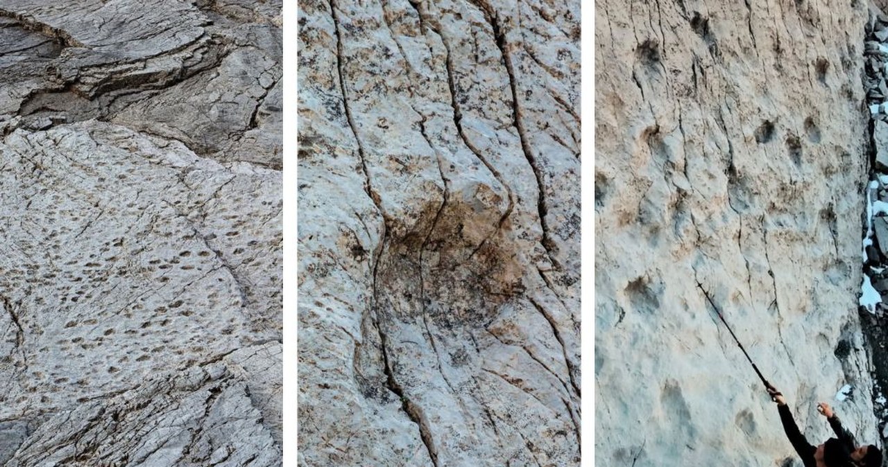 Spektakularne odkrycie we Włoszech. Pochodzą sprzed 210 milionów lat