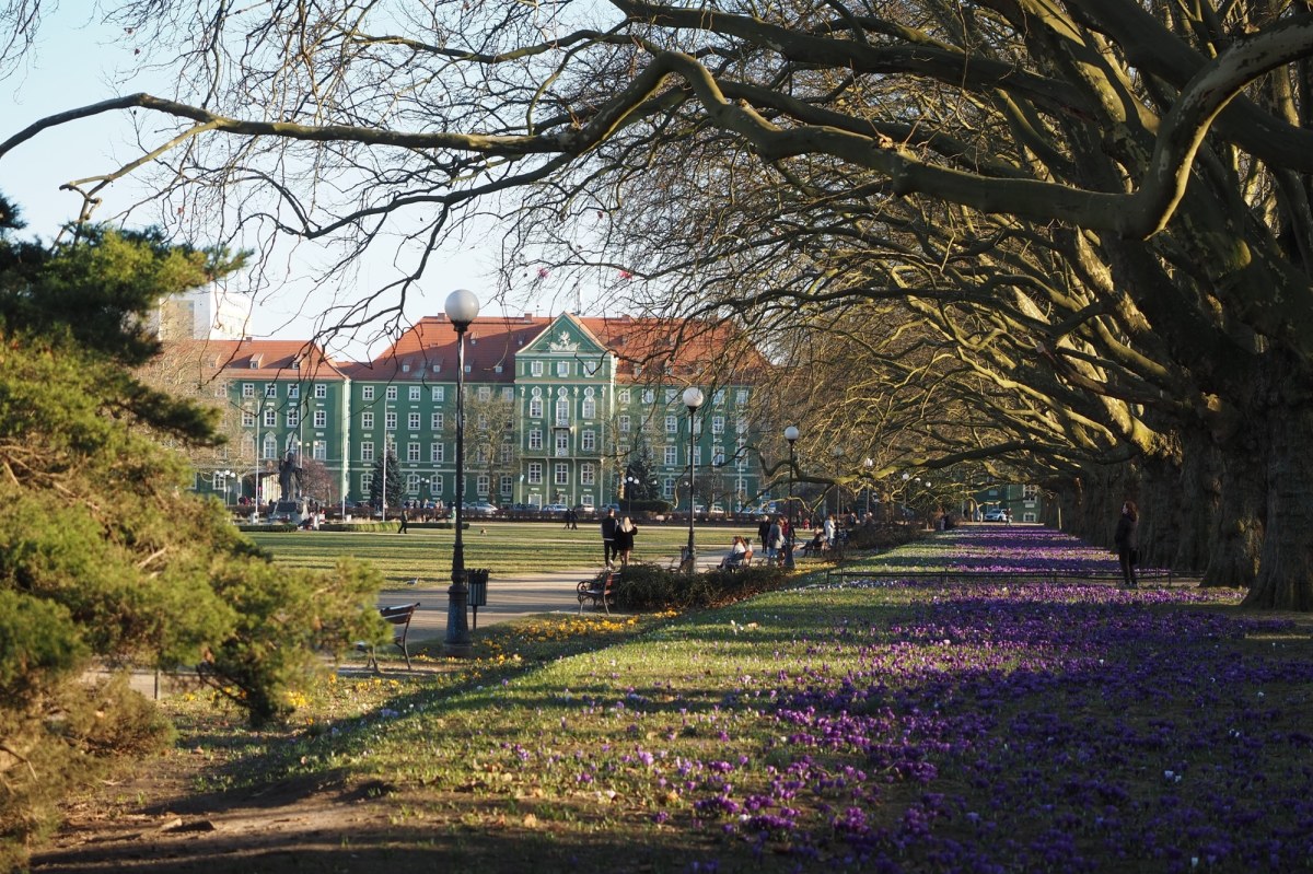 Szczecin uchwalił budżet na 2026 rok. Sprawdź, na co pójdą miliardy