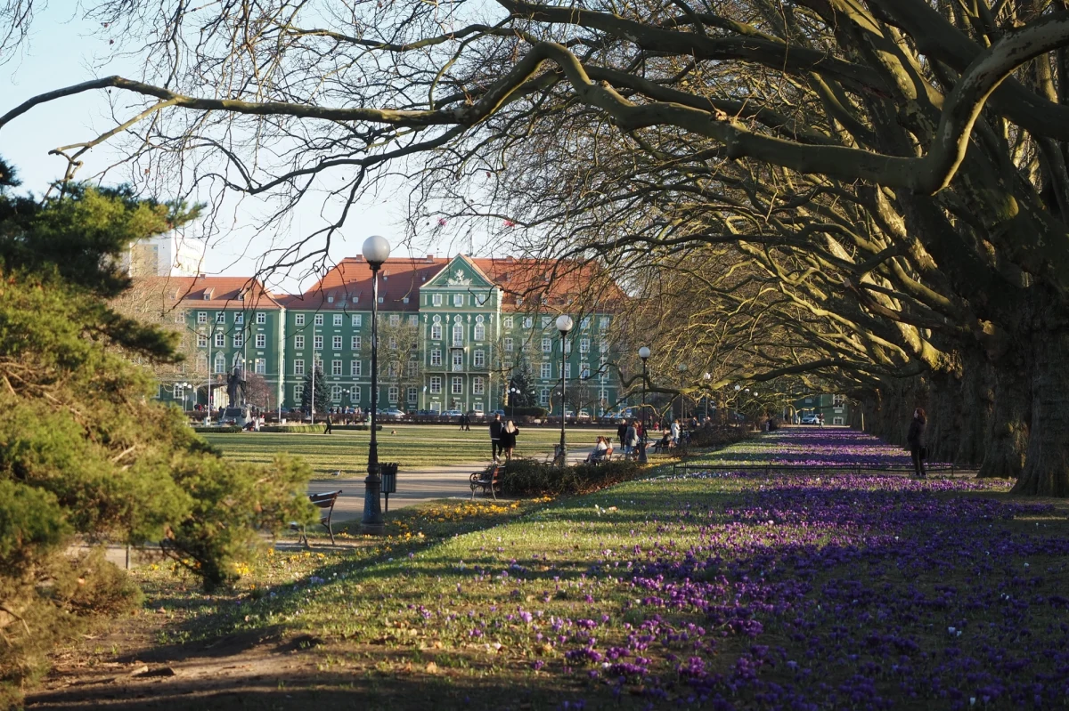 Rada Miasta Szczecin przyjęła budżet na 2026 rok. Dochody miasta mają przekroczyć 4,61 miliarda złotych, a wydatki wyniosą 4,85 miliarda złotych. Oznacza to deficyt na poziomie około 240 milionów złotych. Najwięcej środków zostanie przeznaczonych na edukację, transport oraz pomoc społeczną.