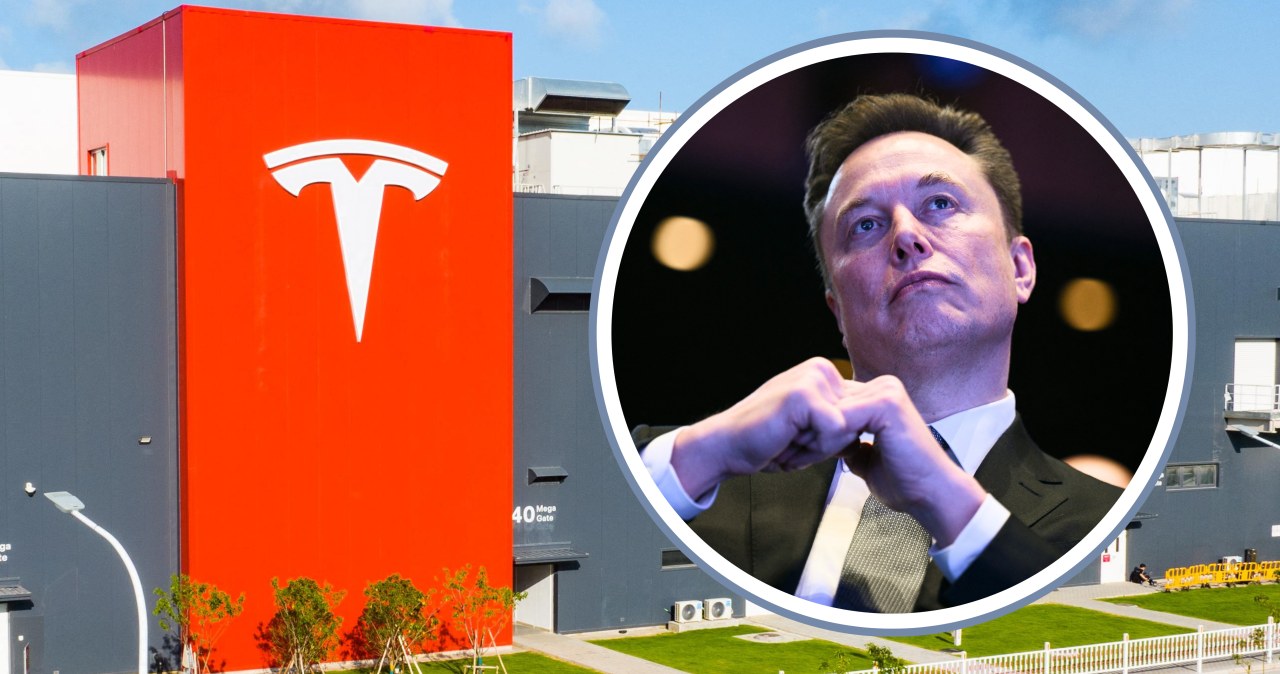 Musk chce zbudować największą fabrykę na świecie. Przy polskiej granicy