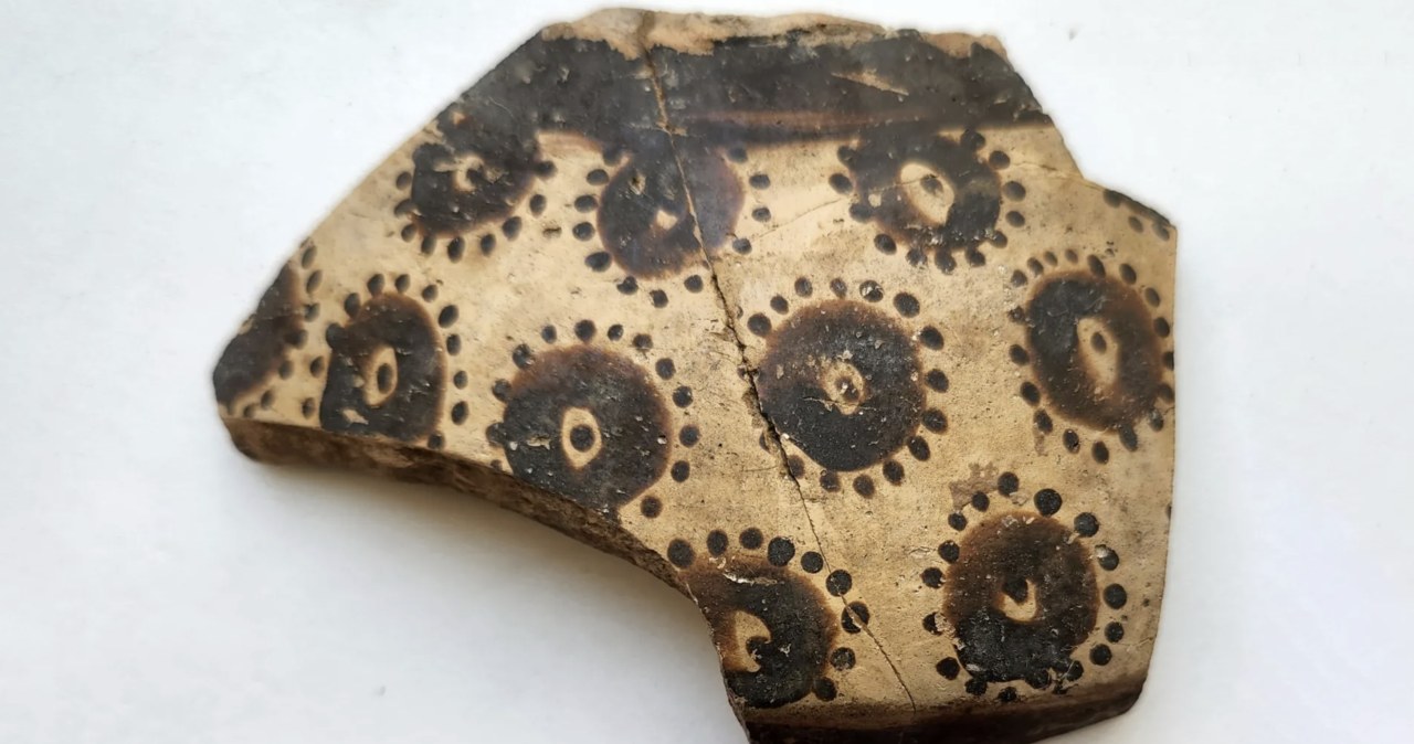 Najstarsza matematyka świata ukryta w kwiatach. Rozszyfrowali zagadkę sprzed 8 tys. lat