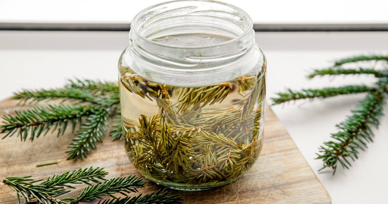 Nie wyrzucaj igieł spod choinki. Włóż je do słoika, zalej octem i poczekaj