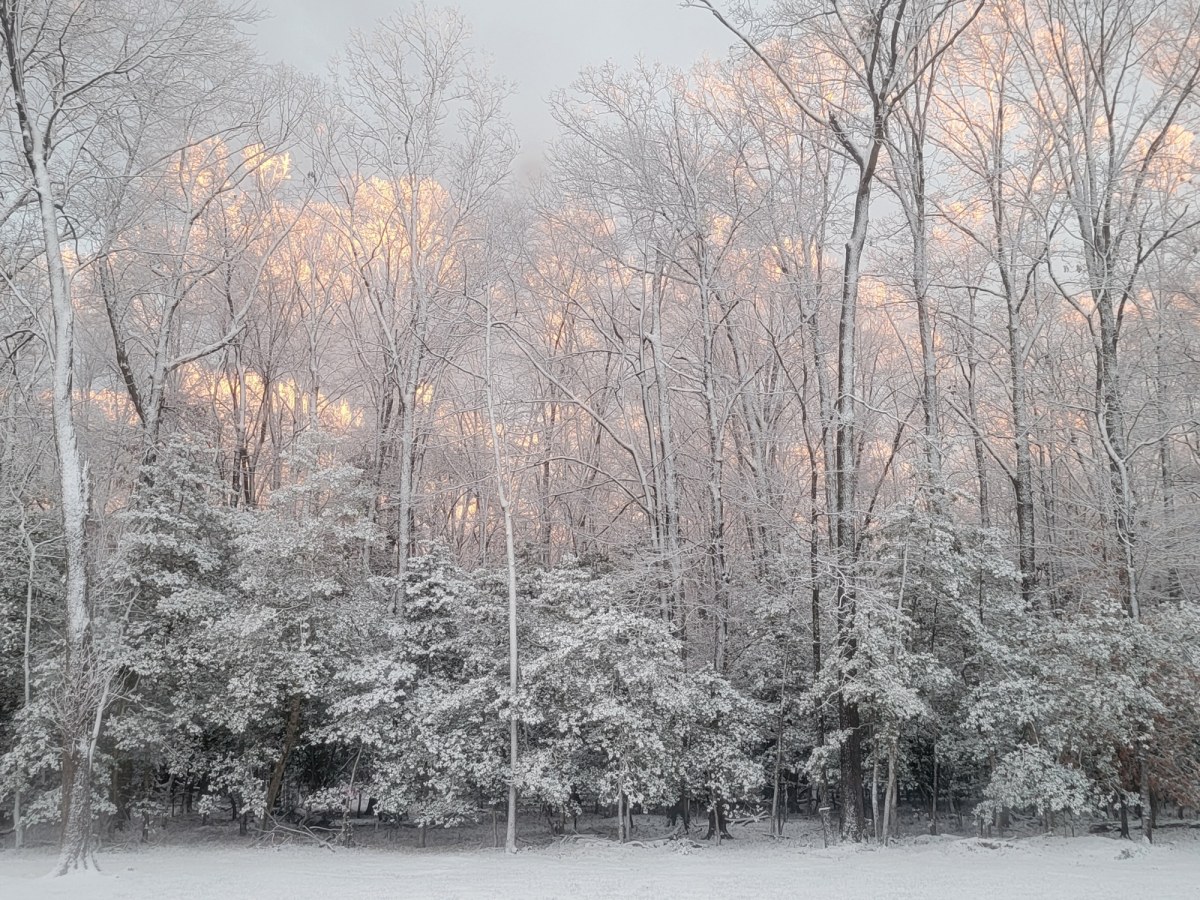 Ekstremalne mrozy w Kanadzie. Czy Europie grozi podobny atak zimy?