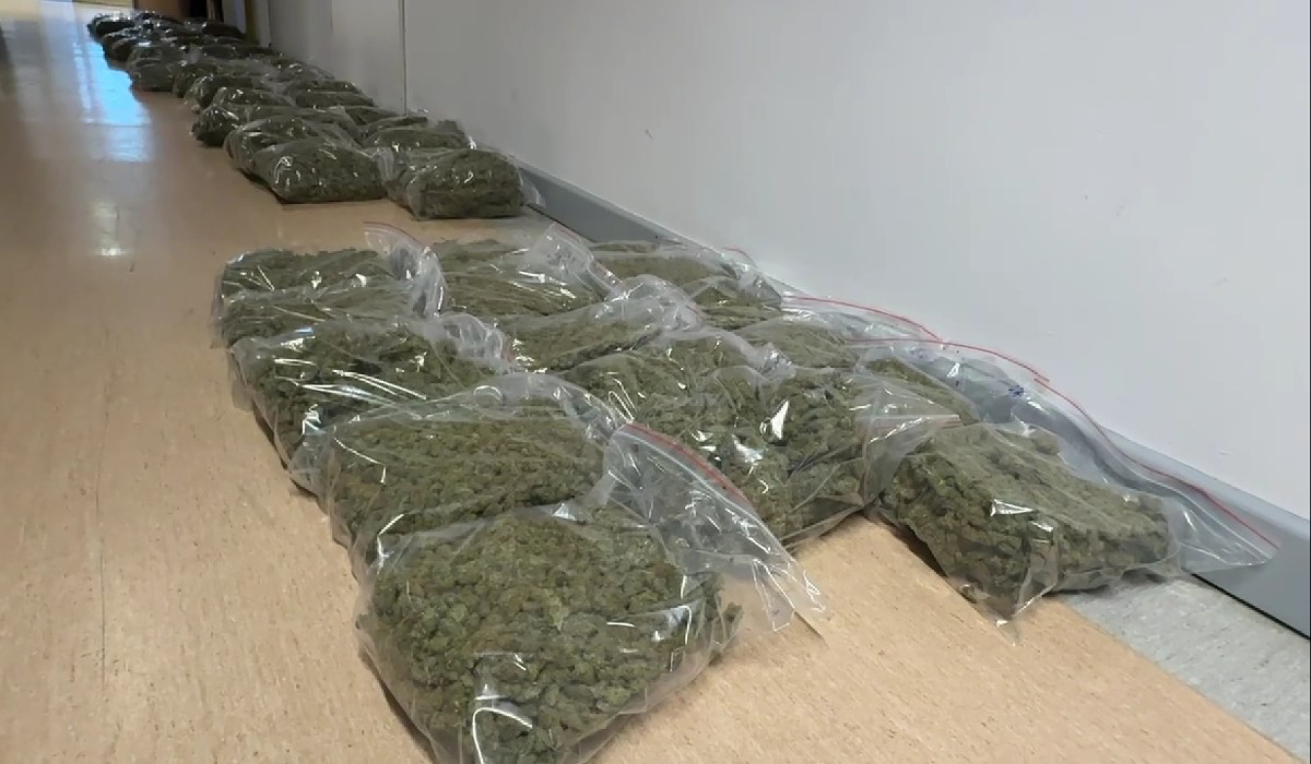 71 kilogramów narkotyków, luksusowe auta i fałszywe dokumenty. "Duch" zatrzymany