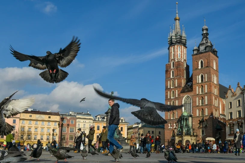 Majówka tuż-tuż. Polacy zmieniają upodobania, pojawił się nowy trend