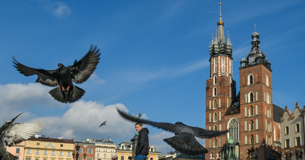 Majówka tuż-tuż. Polacy zmieniają upodobania, pojawił się nowy trend