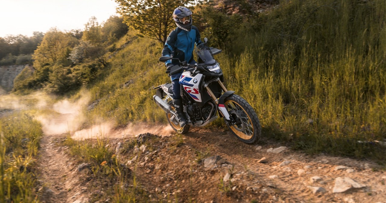 Petycja do Lasów Państwowych. Każdy fan motoryzacji powinien ją podpisać