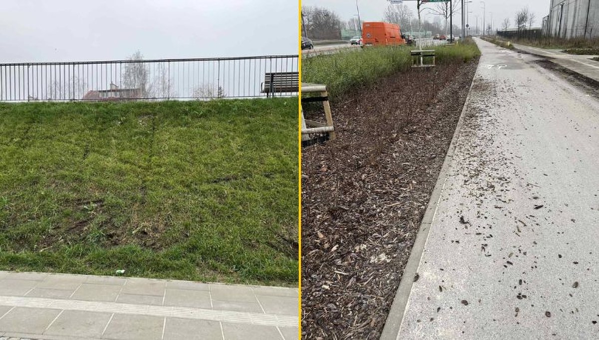 Warszawski park zdewastowany przez wandali