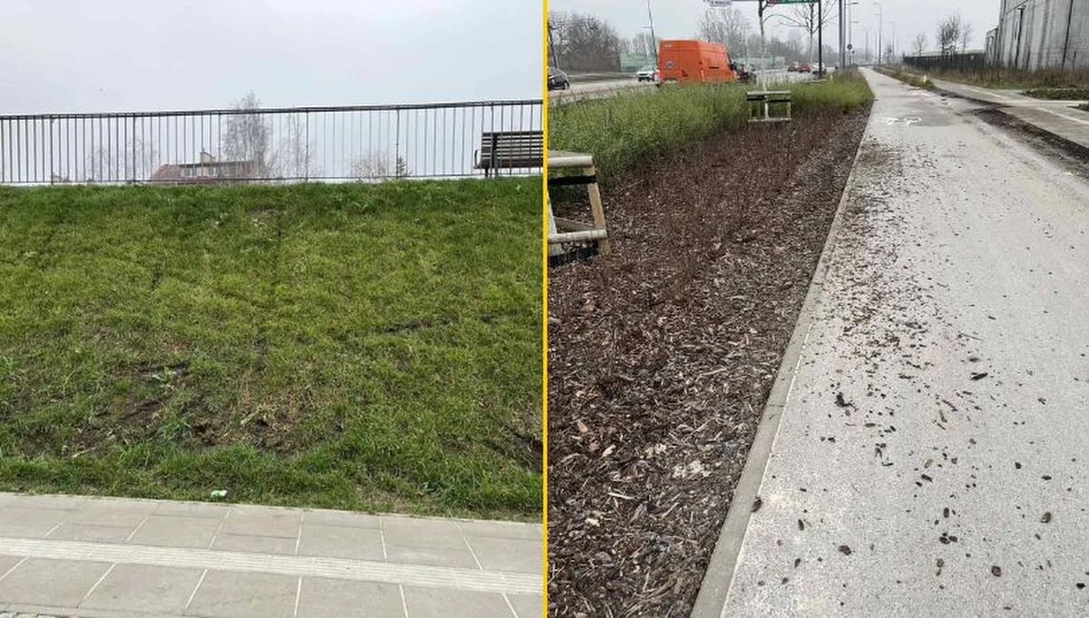 Wandale zdewastowali zieleń na trzech odcinkach parku na Ursynowie, który powstał nad Południową Obwodnicą Warszawy. Jak informuje Zarząd Zieleni, sprawcami zniszczeń są najprawdopodobniej osoby jeżdżące na tzw. pit bike'ach