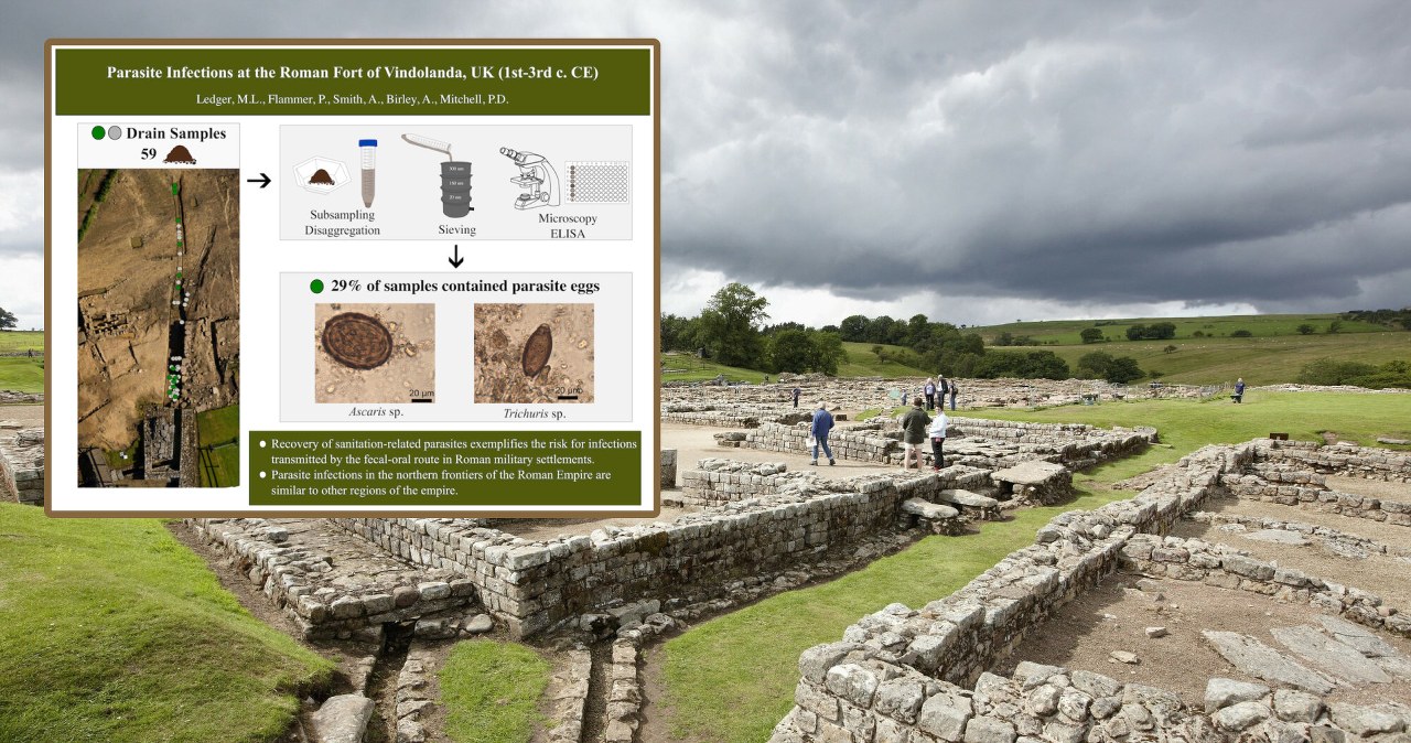 Rzymianie cierpieli na biegunki? W latrynie odkryto pasożyty