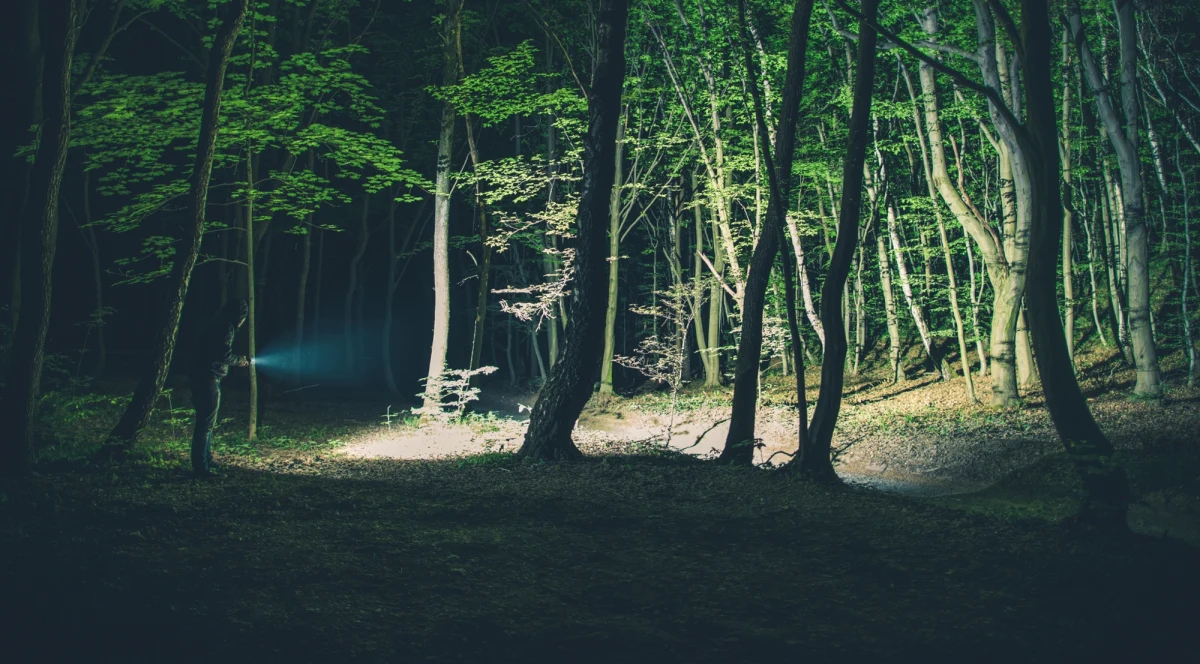 Wieczorna podróż po Podhalu zakończyła się dla zagranicznej turystki nieoczekiwanym stresem - kobieta została wyrzucona z autobusu i pozostawiona sama na przystanku w lesie. Na szczęście na pomoc szybko przybyli policjanci z Zakopanego, którzy przetransportowali ją do centrum miasta.