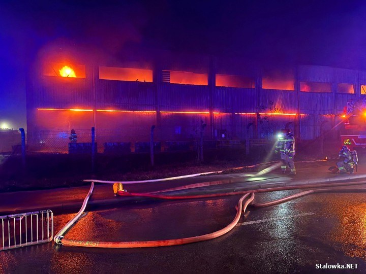 /Fot. Stalowka.NET / Jacek Rodecki /