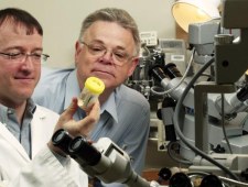 Udar. Powstrzymać skutki