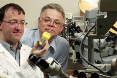 Udar. Powstrzymać skutki