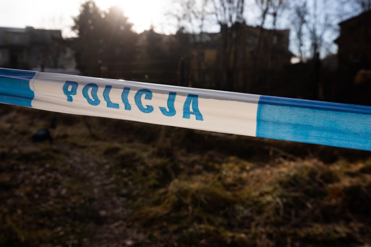 Komunikat MSWiA ws. 12-latki z Jeleniej Góry podejrzanej o zabójstwo