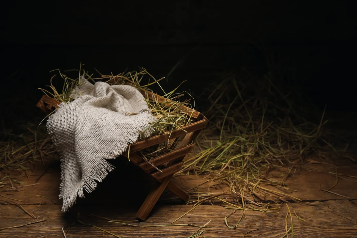 Przed Oliwskim Ratuszem Kultury w Gdańsku w sobotę odbyła się międzywyznaniowa wigilia połączona z odsłonięciem szopki, przygotowanej przez artystów związanych z Akademią Sztuk Pięknych. Instalację, wykonaną z metalu z recyklingu, będzie można oglądać do 14 stycznia.