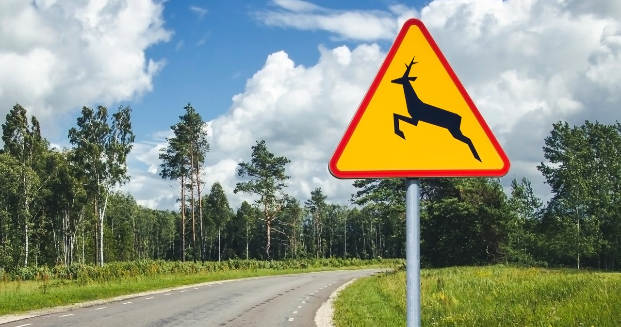 Przegapił znak A-18b i rozbił auto. Ubezpieczyciel odmówił wypłaty