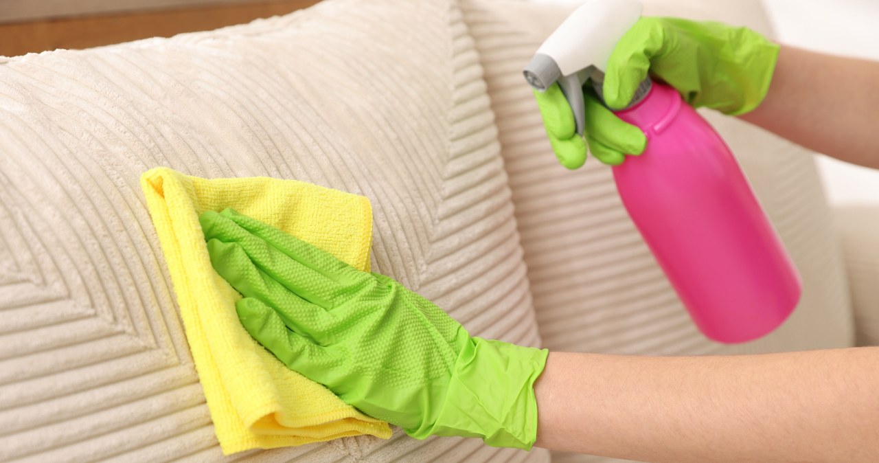 Jak ekspresowo usunąć sierść z kanapy? Poznaj triki, które zadziwią każdego