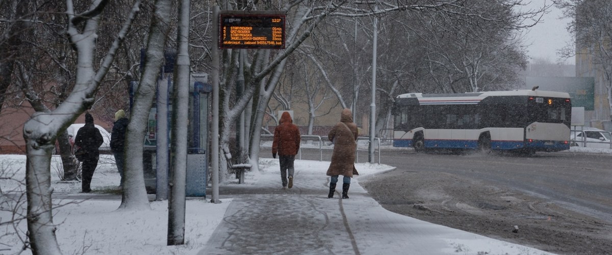 Zimno, ślisko i śnieżnie. Pogoda na najbliższe dni