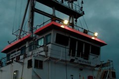 Polowanie na króla piratów