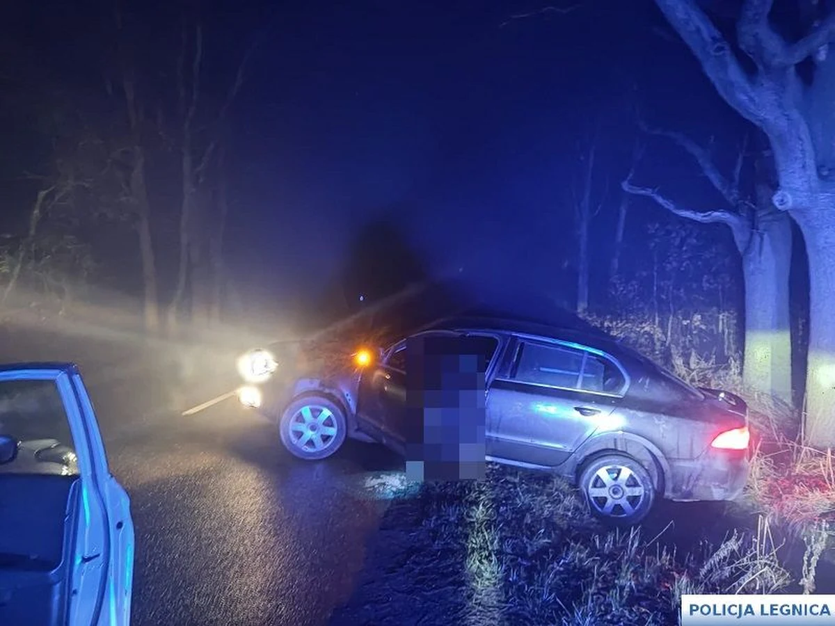 39-letni mieszkaniec Legnicy, mimo sądowego zakazu prowadzenia pojazdów, wsiadł za kierownicę pod wpływem alkoholu. Jego niebezpieczna jazda zakończyła się w przydrożnym rowie. Mężczyzna miał blisko 4 promile alkoholu w organizmie. Teraz grozi mu nawet 5 lat więzienia.