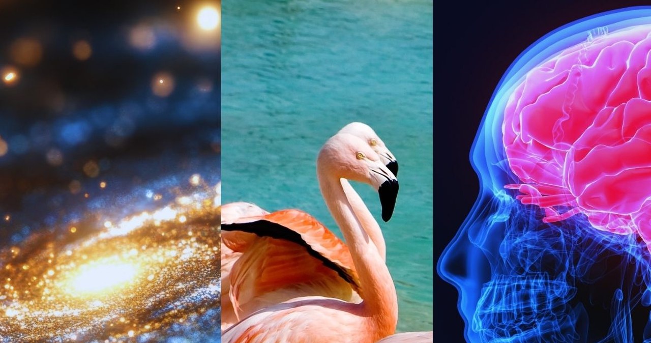 Myślisz, iż wiesz sporo o świecie? Sprawdź się w naszym quizie