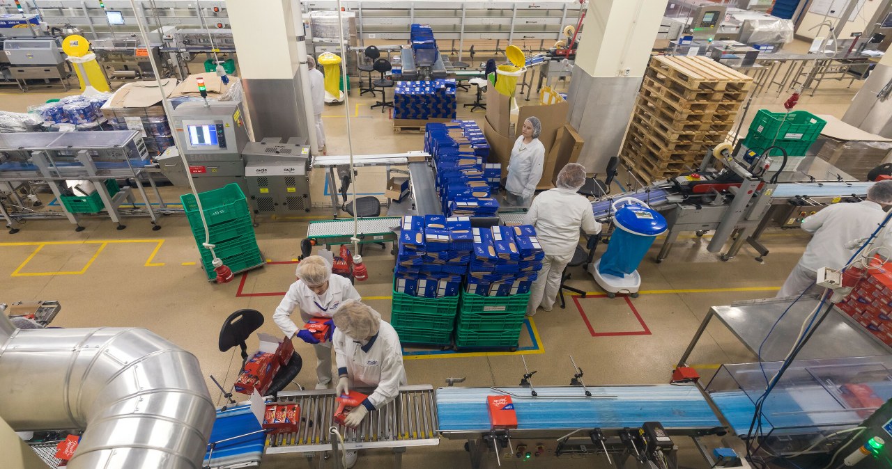 Kusząca oferta pracy w Niemczech. Płacą 60 zł za godzinę. Setki chętnych